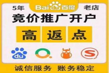 行业新秀如何通过SEM实现快速崛起